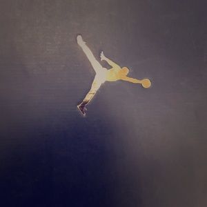 Air Jordan retro 10 new Nike basketball  size 14